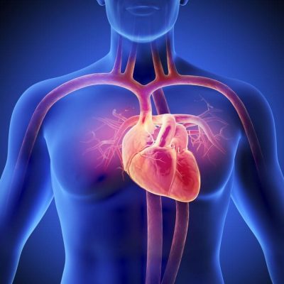 The Latest in Heart Failure: From Simple to Beyond Complex